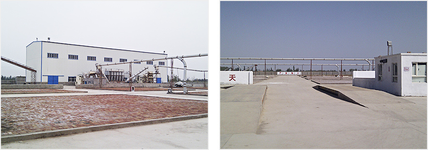 伽师县中加棉业有限公司