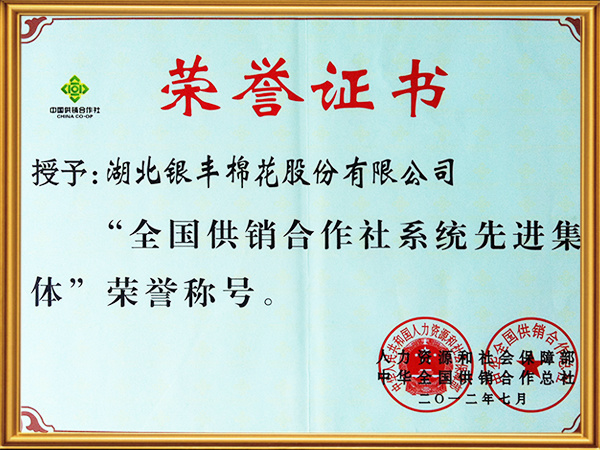 全国供销合作社系统先进集体 